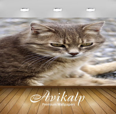 

Avikalp Nature Wallpaper(60.96 cm X 91.44 cm)
