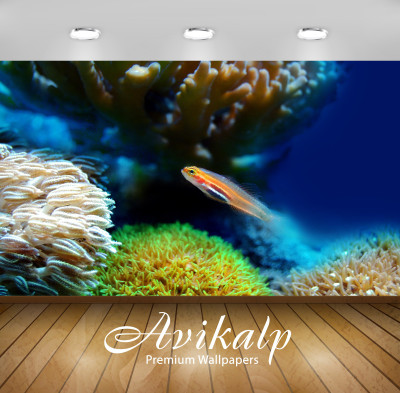 

Avikalp Nature Wallpaper(121.92 cm X 152.4 cm)