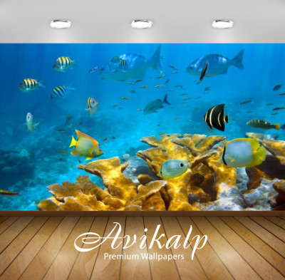

Avikalp Nature Wallpaper(60.96 cm X 91.44 cm)