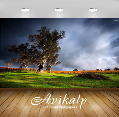 

Avikalp Nature Wallpaper(121.92 cm X 152.4 cm)