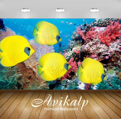 

Avikalp Nature Wallpaper(60.96 cm X 91.44 cm)