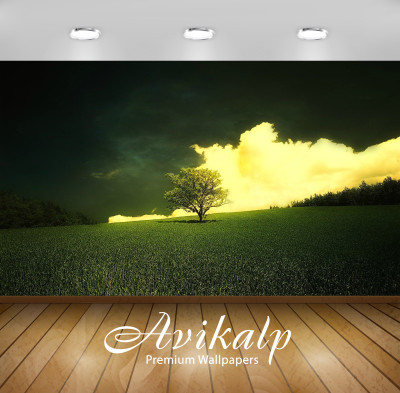 

Avikalp Nature Wallpaper(60.96 cm X 91.44 cm)
