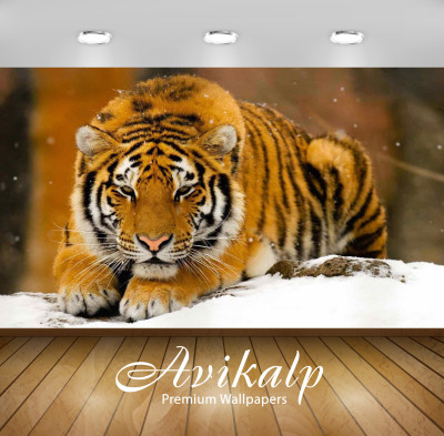 

Avikalp Nature Wallpaper(60.96 cm X 91.44 cm)