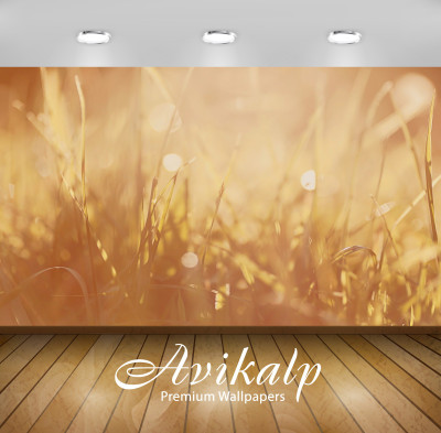 

Avikalp Nature Wallpaper(60.96 cm X 91.44 cm)