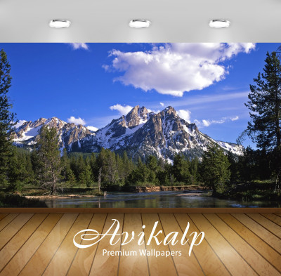 

Avikalp Nature Wallpaper(60.96 cm X 91.44 cm)