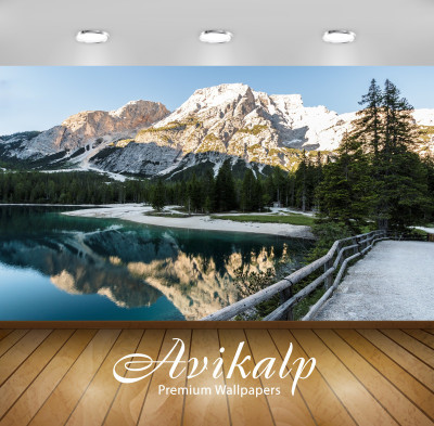 

Avikalp Nature Wallpaper(60.96 cm X 91.44 cm)