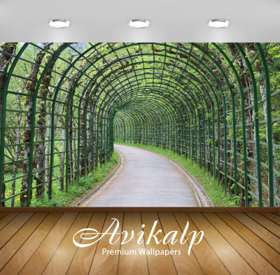 

Avikalp Nature Wallpaper(60.96 cm X 91.44 cm)
