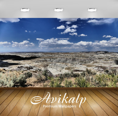 

Avikalp Nature Wallpaper(60.96 cm X 91.44 cm)