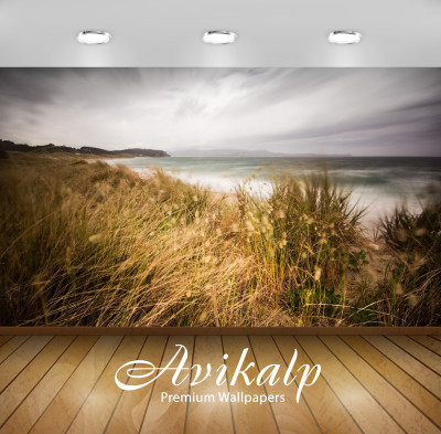 

Avikalp Nature Wallpaper(60.96 cm X 91.44 cm)