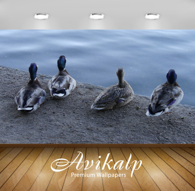 

Avikalp Nature Wallpaper(60.96 cm X 91.44 cm)