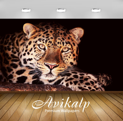 

Avikalp Nature Wallpaper(60.96 cm X 91.44 cm)