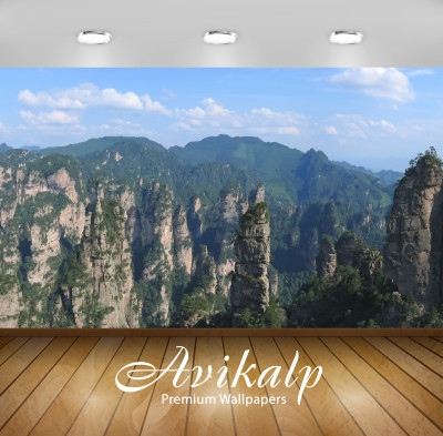 

Avikalp Nature Wallpaper(60.96 cm X 91.44 cm)
