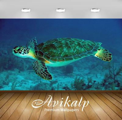 

Avikalp Nature Wallpaper(60.96 cm X 91.44 cm)