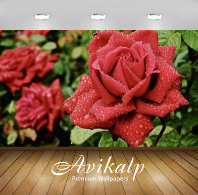 

Avikalp Nature Wallpaper(60.96 cm X 91.44 cm)