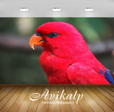 

Avikalp Nature Wallpaper(60.96 cm X 91.44 cm)