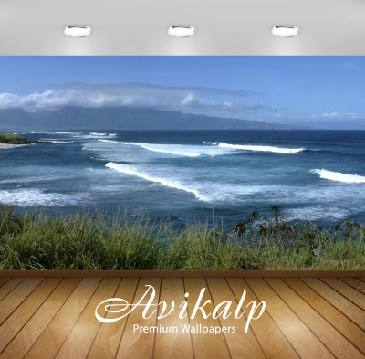 

Avikalp Nature Wallpaper(60.96 cm X 91.44 cm)
