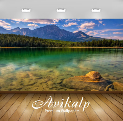 

Avikalp Nature Wallpaper(60.96 cm X 91.44 cm)