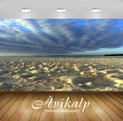 

Avikalp Nature Wallpaper(60.96 cm X 91.44 cm)