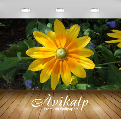 

Avikalp Nature Wallpaper(60.96 cm X 91.44 cm)