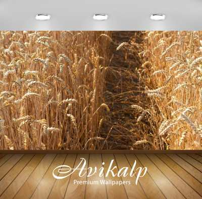 

Avikalp Nature Wallpaper(60.96 cm X 91.44 cm)