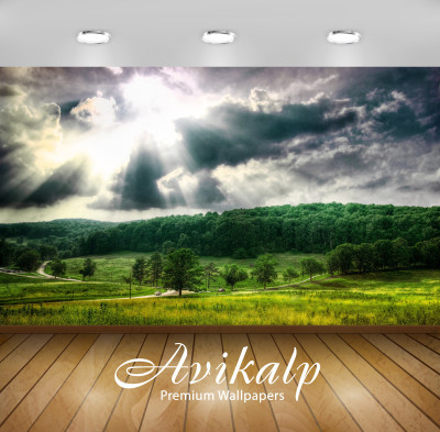 

Avikalp Nature Wallpaper(60.96 cm X 91.44 cm)