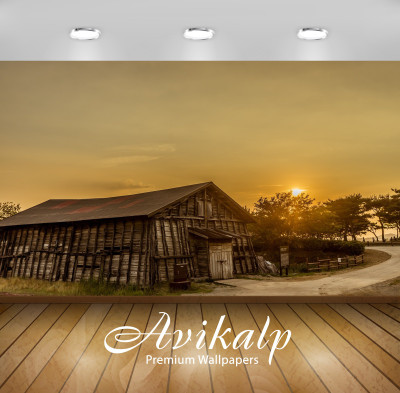 

Avikalp Nature Wallpaper(60.96 cm X 91.44 cm)