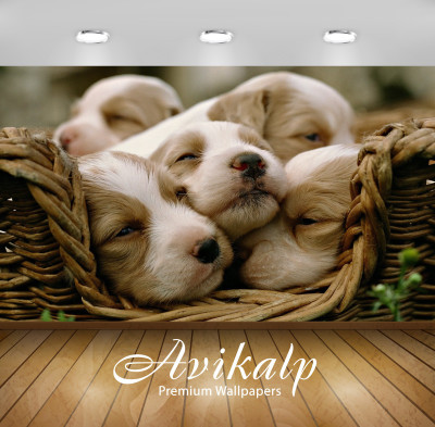 

Avikalp Nature Wallpaper(60.96 cm X 91.44 cm)