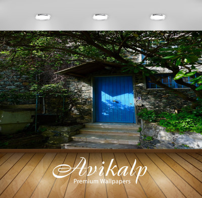 

Avikalp Nature Wallpaper(60.96 cm X 91.44 cm)
