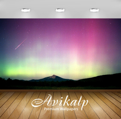 

Avikalp Nature Wallpaper(60.96 cm X 91.44 cm)