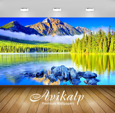 

Avikalp Nature Wallpaper(60.96 cm X 91.44 cm)