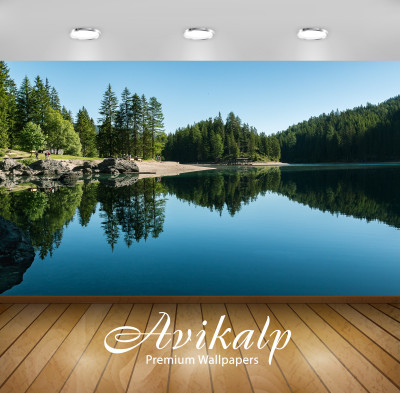 

Avikalp Nature Wallpaper(60.96 cm X 91.44 cm)