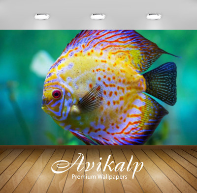 

Avikalp Nature Wallpaper(60.96 cm X 91.44 cm)