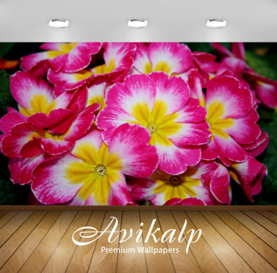 

Avikalp Nature Wallpaper(60.96 cm X 91.44 cm)