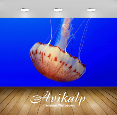 

Avikalp Nature Wallpaper(60.96 cm X 91.44 cm)