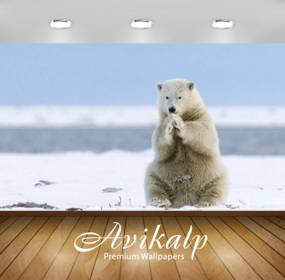 

Avikalp Nature Wallpaper(60.96 cm X 91.44 cm)