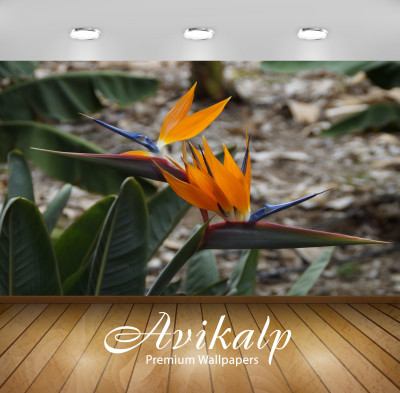 

Avikalp Nature Wallpaper(60.96 cm X 91.44 cm)