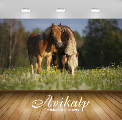 

Avikalp Animals Wallpaper(152.4 cm X 182.88 cm)