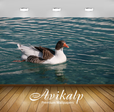 

Avikalp Nature Wallpaper(60.96 cm X 91.44 cm)