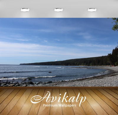 

Avikalp Nature Wallpaper(60.96 cm X 91.44 cm)