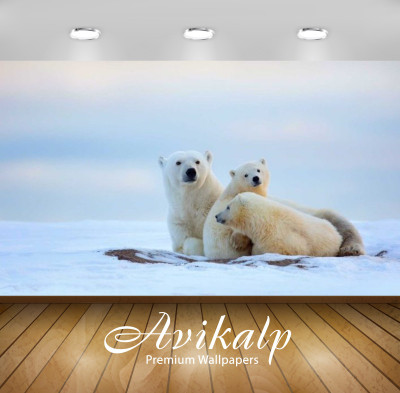 

Avikalp Nature Wallpaper(60.96 cm X 91.44 cm)