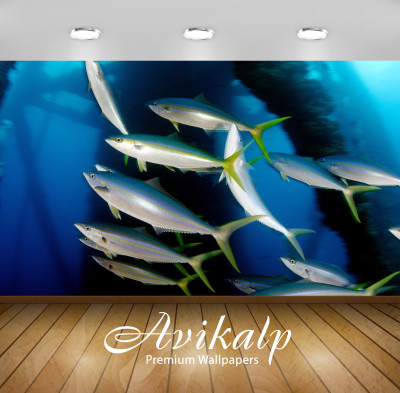 Avikalp Nature Wallpaper(60.96 cm X 91.44 cm)
