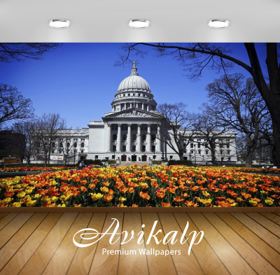 

Avikalp Nature Wallpaper(60.96 cm X 91.44 cm)