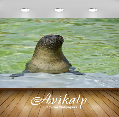 

Avikalp Nature Wallpaper(60.96 cm X 91.44 cm)