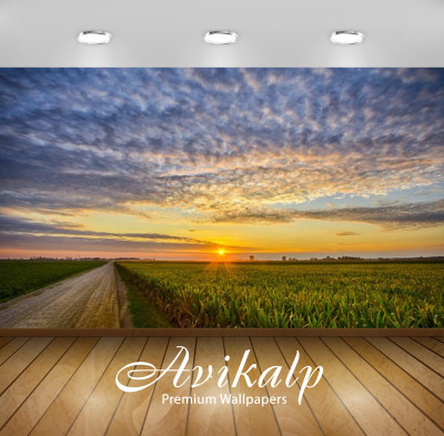

Avikalp Nature Wallpaper(60.96 cm X 91.44 cm)