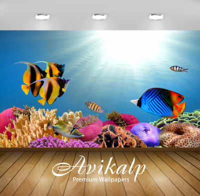 

Avikalp Nature Wallpaper(60.96 cm X 91.44 cm)