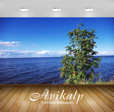 

Avikalp Nature Wallpaper(60.96 cm X 91.44 cm)