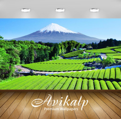 

Avikalp Nature Wallpaper(60.96 cm X 91.44 cm)
