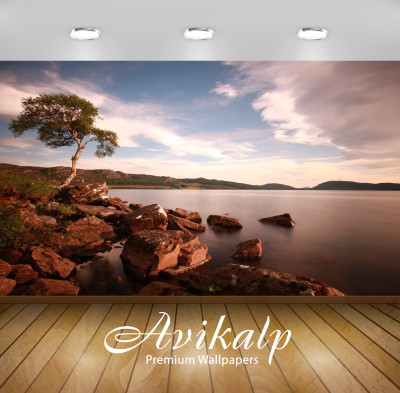 

Avikalp Nature Wallpaper(60.96 cm X 91.44 cm)