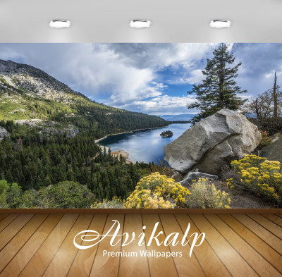 

Avikalp Nature Wallpaper(60.96 cm X 91.44 cm)