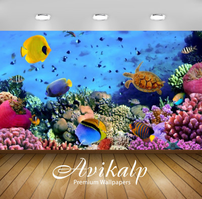 

Avikalp Nature Wallpaper(60.96 cm X 91.44 cm)